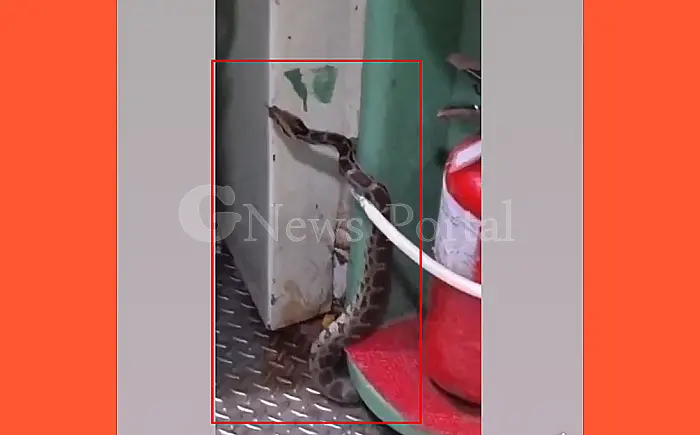 चेन्नई-हावड़ा एक्सप्रेस में निकला 10 फीट का विशाल अजगर! यात्रियों में मचा हड़कंप, ट्रेन रोकी गई