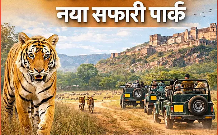 रणथंभौर में बनेगा नया सफारी पार्क: बाघों के कुनबे को मिलेगा नया आशियाना, पर्यटकों के लिए खुलेगा रोमांच का नया द्वार