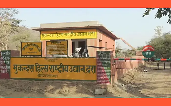 राजस्थान के सभी टाइगर रिजर्व में होगा एनिमल डिजीज सर्वे, मुकुंदरा से हुई शुरुआत