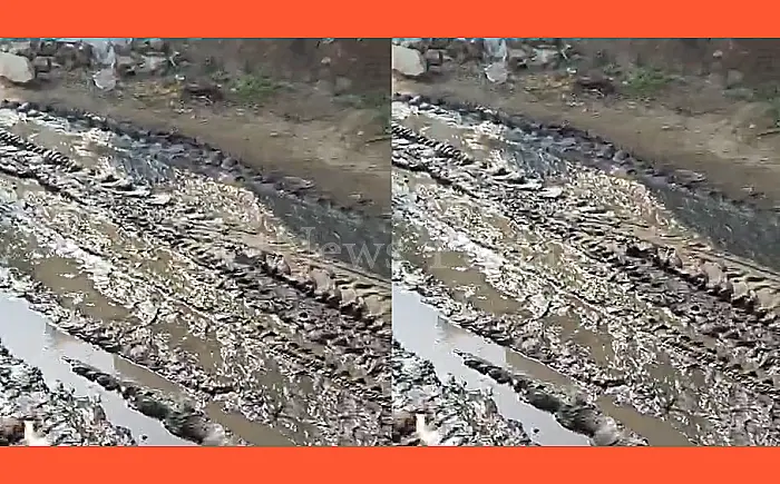 नासूर बना भावड़ की मुख्य सड़क का कीचड़: प्रशासनिक अनदेखी से ग्रामीण परेशान