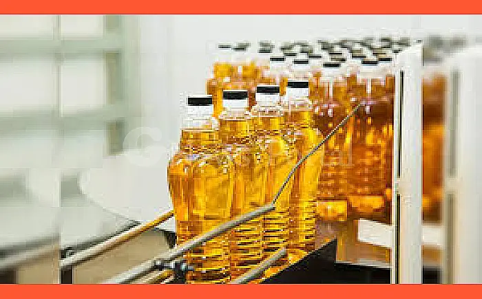 सरसों का बंपर उत्पादन, फिर भी तेल क्यों है महंगा? आम जन की पीड़ा