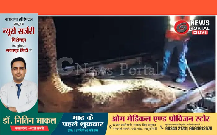 कोटा में जाम हुआ इंजन, थूरिया में पुल पर फंसा ऊंट - मंडल में पांच घंटे प्रभावित रहा रेल यातायात