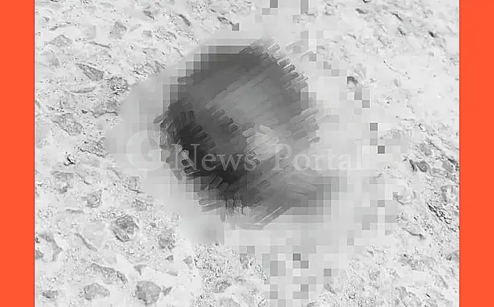 मिला बच्चे का धड़ से अलग सिर, इलाके में हड़कंप
