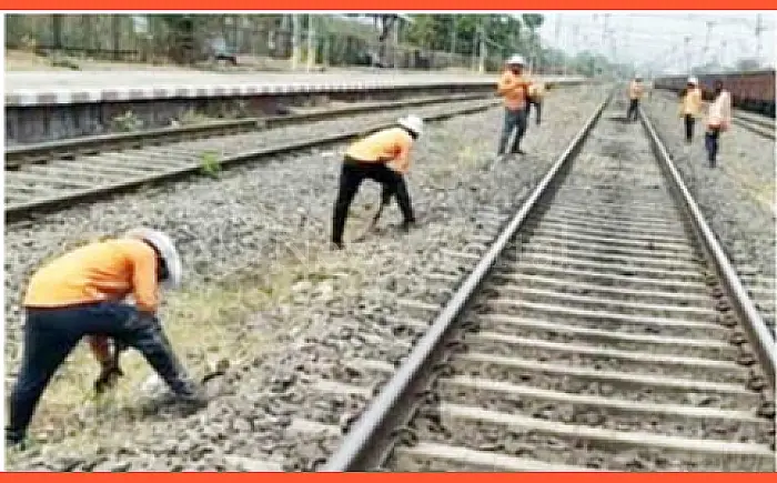 पिछले 5 सालों में रेल पटरियों पर 361 कर्मचारियों की मौत, कोटा मंडल में भी 19 जानें गईं