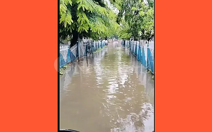 भारी बारिश से रेलवे कॉलोनियां जलमग्न, कर्मचारियों को भारी परेशानी; भरतपुर में कॉलोनी बनी टापू