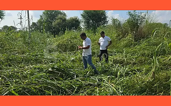 Rajasthan: छह जिलों के 3,777 गांव अभावग्रस्त घोषित, किसानों के राहत पैकेज पर मुहर