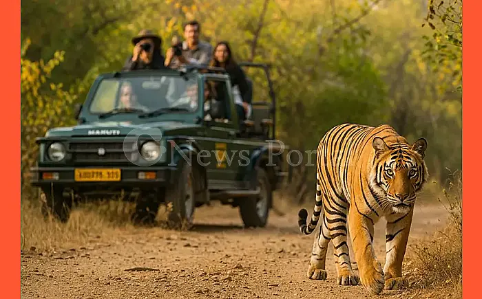 सरिस्का टाइगर रिजर्व की सफारी हुई महंगी: 1 अप्रैल से लागू हुईं नई दरें, जानें अब कितना ढीला करना होगा जेब