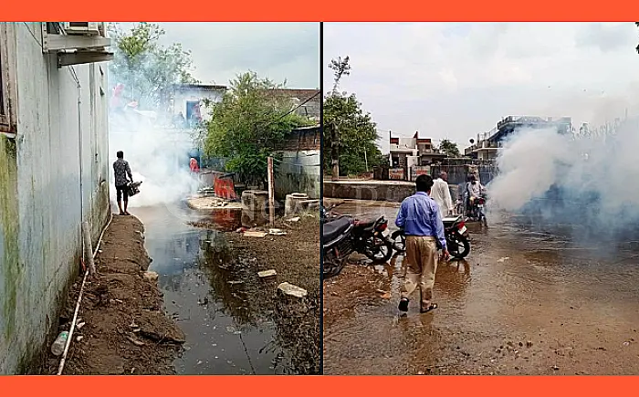 सवाई माधोपुर में मच्छरों पर नियंत्रण के लिए चिकित्सा विभाग का 'एंटी लार्वा' अभियान, पर गंगापुर सिटी में नहीं