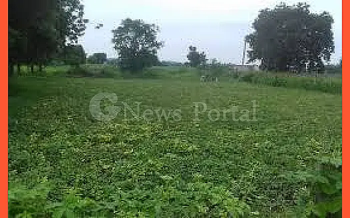 गंगापुरसिटी में 'फर्जी गौशाला' का आतंक: 64 बीघा चरागाह भूमि पर दबंगों का कब्ज़ा! 🤦‍♂️