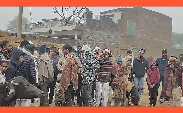 टोंक जिले के दादिया गांव में वन्य जीवों का आतंक, 4 भेड़ों की मौत और 2 लापता
