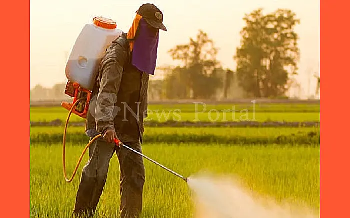 कीटनाशक छिड़कते समय अमरूदों के बाग में दो युवकों की मौत